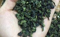 什么是铁观音春茶 铁观音春茶的品质特点？