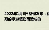 2022年1月6日整理发布：精养池塘的水色主要是由池中繁殖的浮游植物而造成的