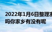 2022年1月6日整理发布：这几种野菜你见过吗你家乡有没有呢