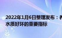 2022年1月6日整理发布：养虾过程中水色及其变化是判断水质好坏的重要指标