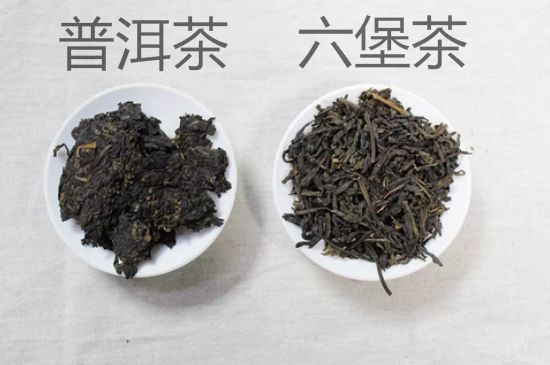六堡茶与普洱茶的区别，六堡茶和普洱茶哪个好？