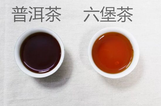 六堡茶与普洱茶的区别，六堡茶和普洱茶哪个好？
