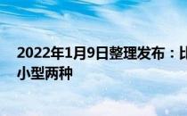 2022年1月9日整理发布：比熊犬的体型其实大部分都为中小型两种