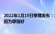 2022年1月10日整理发布：大部分时候喵星人互相舔毛只是因为感情好