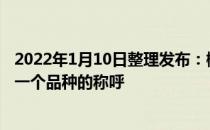 2022年1月10日整理发布：橘猫就是毛颜色是橘色的猫不是一个品种的称呼