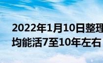 2022年1月10日整理发布：银渐层折耳猫平均能活7至10年左右