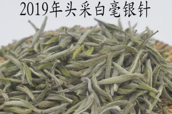 白茶新茶什么时候上市，2020年新茶白茶几月份上市？