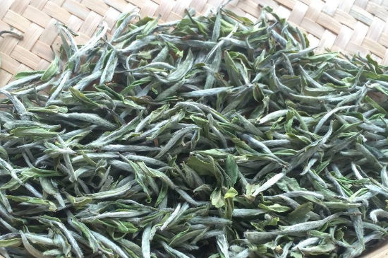 牡丹王白茶多少钱一斤，牡丹王茶价格表