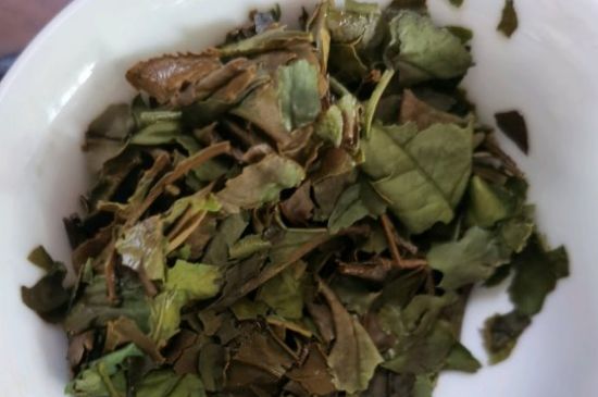 福鼎白茶三位制茶大师，福鼎白茶制茶大师名单