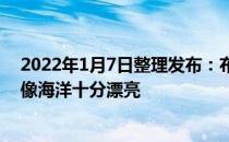 2022年1月7日整理发布：布偶猫都是蓝色眼睛的像天空又像海洋十分漂亮