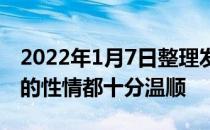 2022年1月7日整理发布：一般来说，牧羊犬的性情都十分温顺