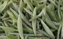 月光白茶是新茶好还是老茶好？云南月光白是几年来最好的茶
