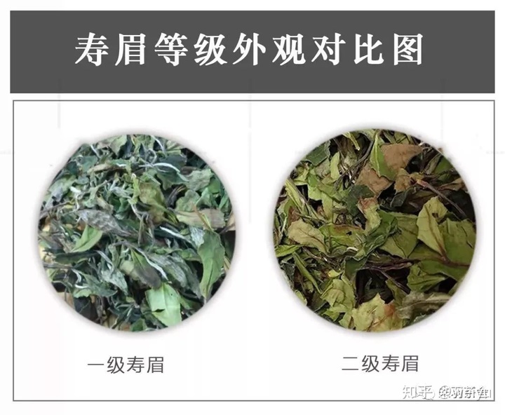 最贵的白茶价格表大全，白茶最贵的多少钱一斤？