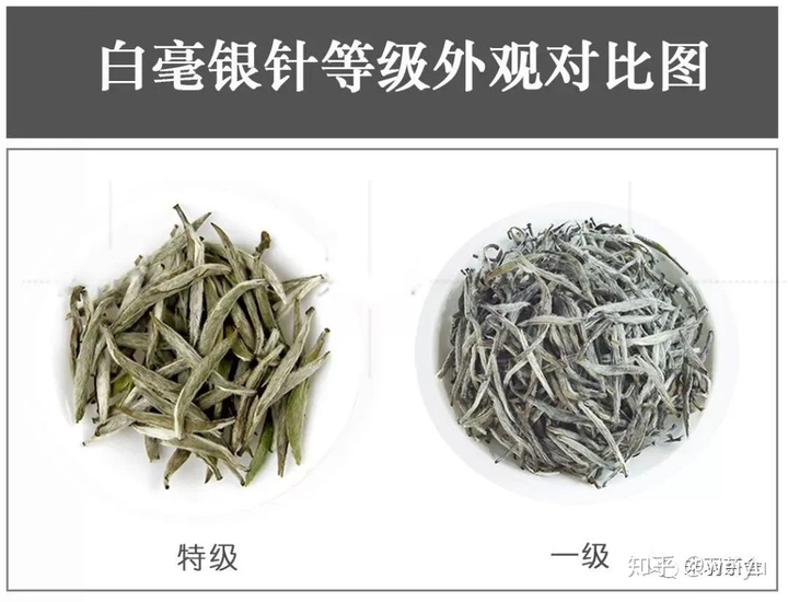 最贵的白茶价格表大全，白茶最贵的多少钱一斤？
