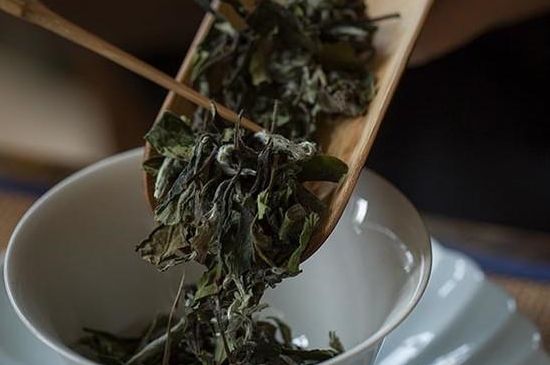 为什么华茶一号好喝，华茶一号是什么品种？