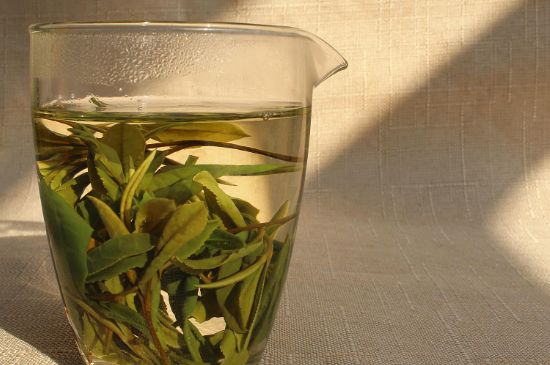 为什么华茶一号好喝，华茶一号是什么品种？