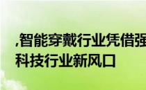 ,智能穿戴行业凭借强劲的发展势头,逐渐成为科技行业新风口