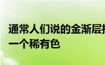 通常人们说的金渐层指的是英国短毛猫里面的一个稀有色