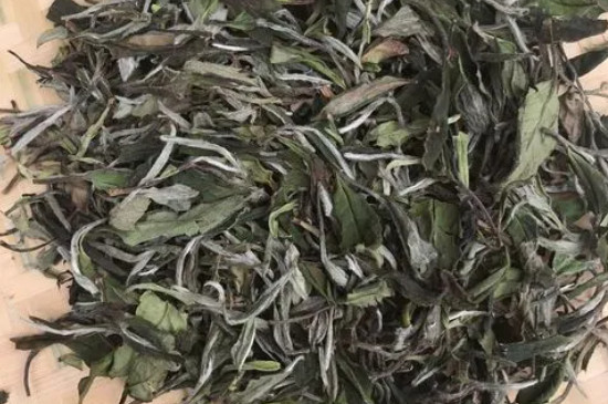 荒野老白茶为什么叫荒野老白茶，荒野白茶的特点