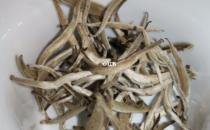 白龙树属于什么茶 白龙树贡茶是什么茶？