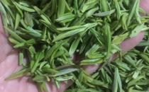 古竹紫笋属于哪种绿茶？古竹紫笋是烤的还是炒的？