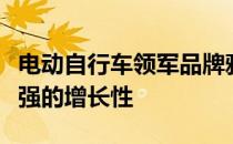 电动自行车领军品牌雅迪也将会再迎确定性极强的增长性