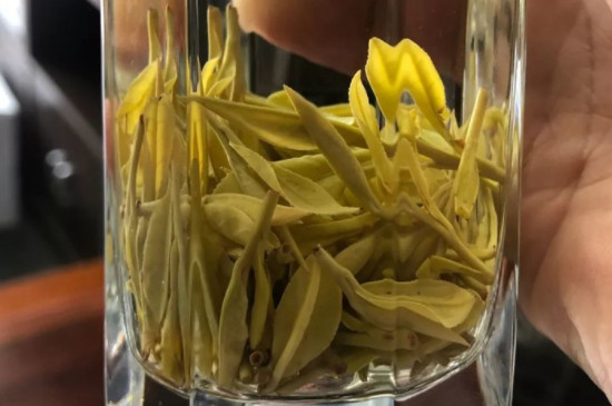 黄金芽和白茶哪个档次高，黄金芽在茶叶中什么档次？