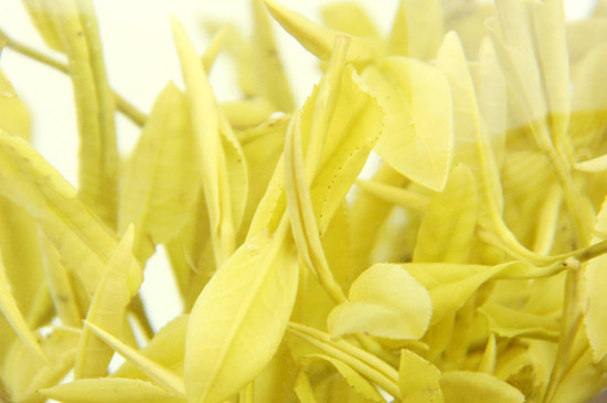 黄金芽是白茶的一种吗，黄金芽属于绿茶还是白茶？