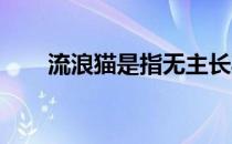 流浪猫是指无主长期在野外生存的猫