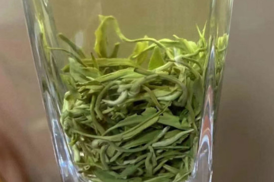 正宗崂山绿茶多少钱一斤，正宗崂山绿茶价格