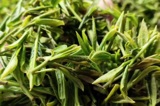 正宗崂山绿茶多少钱一斤，正宗崂山绿茶价格