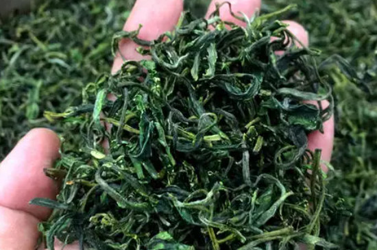 黄山野茶属于什么茶，黄山野茶是什么品种？