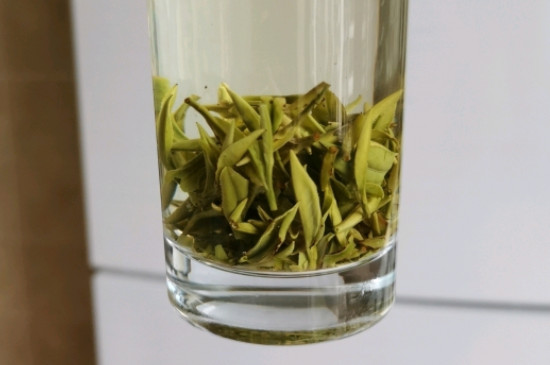 黄山野茶属于什么茶，黄山野茶是什么品种？