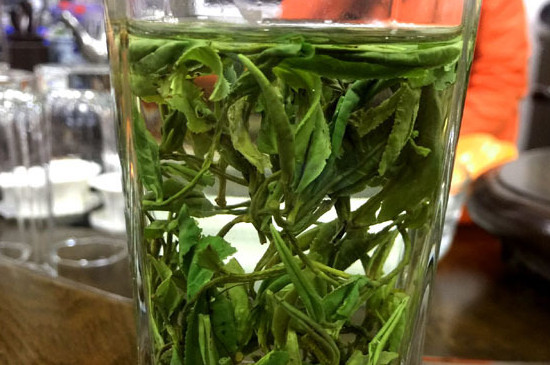 黄山野茶属于什么茶，黄山野茶是什么品种？