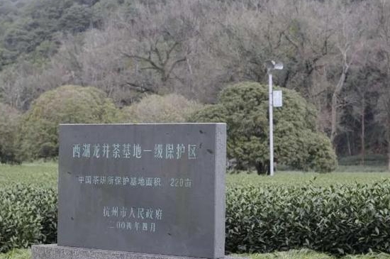 乌牛早茶多少钱一斤，乌牛茶市场价！