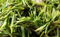 正宗崂山绿茶每斤多少钱 正宗崂山绿茶的价格？