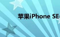 苹果iPhone SE(2020)自拍评测