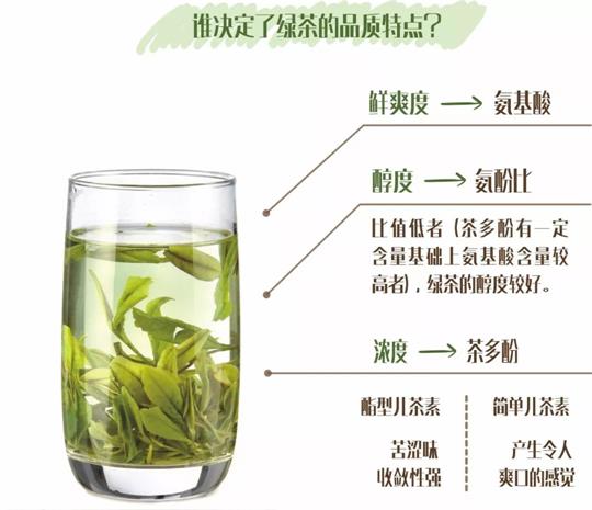 什么绿茶口味重口感浓郁，味道浓郁的绿茶哪种？