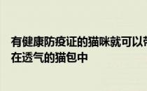 有健康防疫证的猫咪就可以带上大巴乘坐之前要把猫咪放置在透气的猫包中