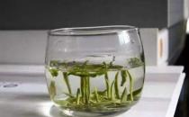 绿茶加重水分 喝太多绿茶会不会很重？