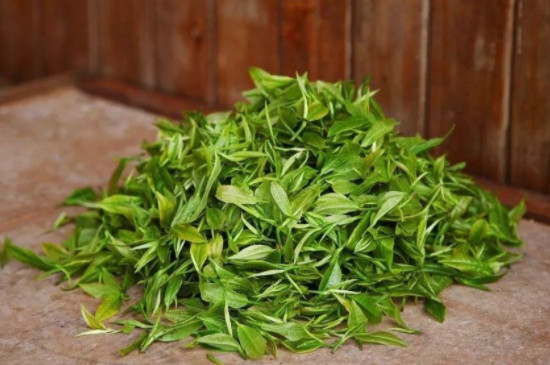 大叶种绿茶都有什么茶，大叶绿茶有哪些品种？