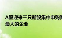 A股迎来三只新股集中申购其中就有全球赤藓糖醇行业产量最大的企业