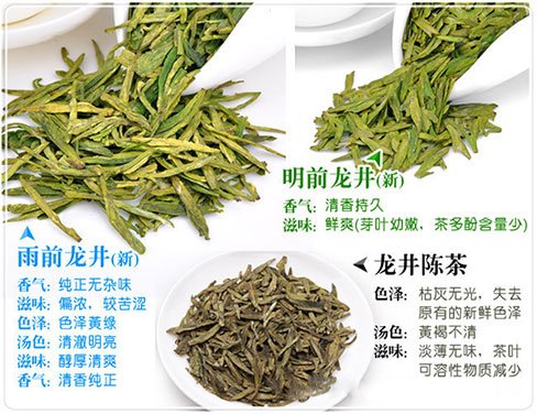 西湖龙井新茶和陈茶的区别