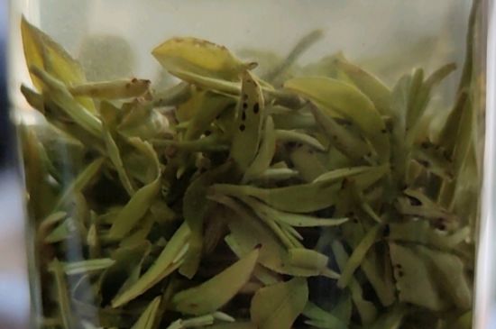 三万昌茶叶怎么样，三万昌和碧螺牌哪种好？