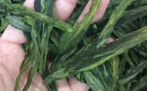 太平孙悟空为什么禁茶？谁不能喝孙悟空茶？
