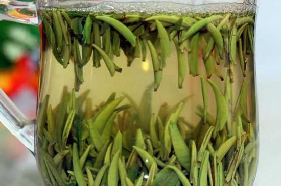 200块一斤的雀舌可以吗？一斤雀舌茶价格行情