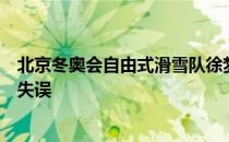 北京冬奥会自由式滑雪队徐梦桃稳定发挥而贾宗洋出现较大失误