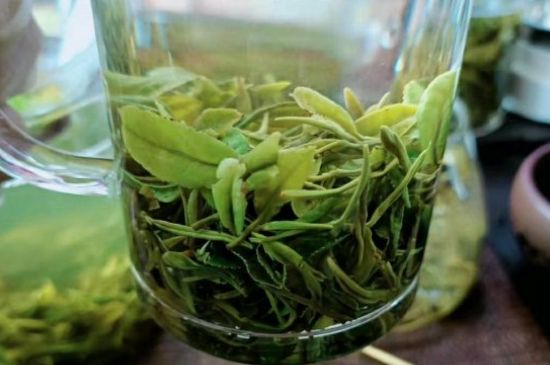 什么绿茶味道浓香，那个绿茶比较浓香？