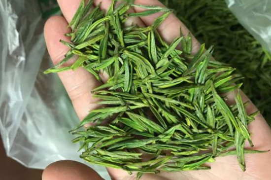什么绿茶茶叶唇齿留香，哪个品种绿茶香气好？