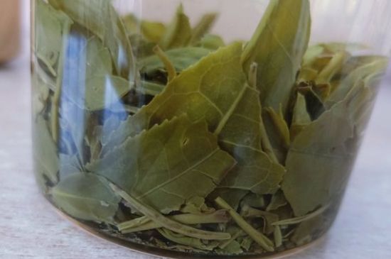 绿茶陈茶和新茶区别，绿茶怎样区分新茶和陈茶